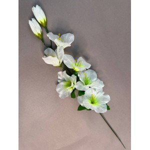 Одиночные цветы