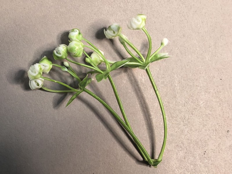 Добавка букетная К24