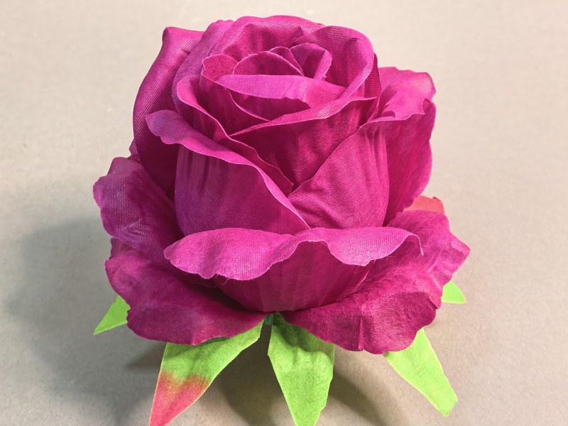 Бутон большой "Эквадор" 100