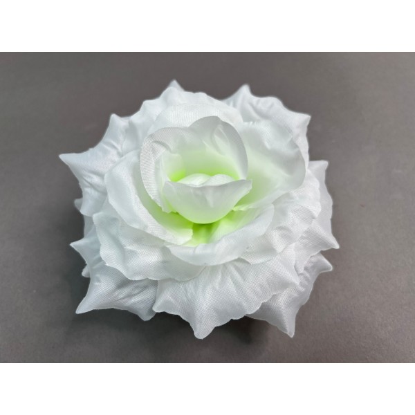 Роза "Мадлен" 101