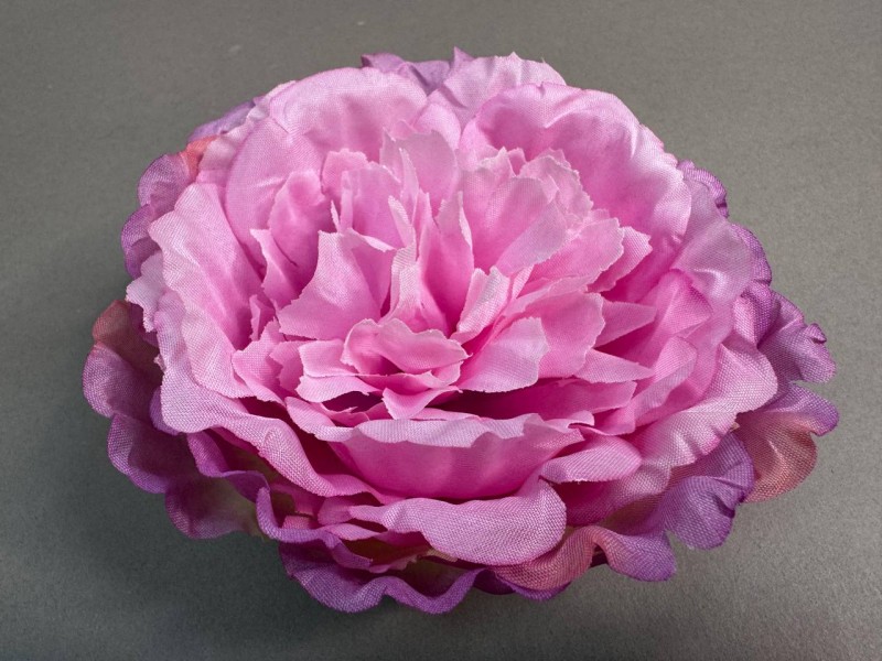 Пион Сезам 132