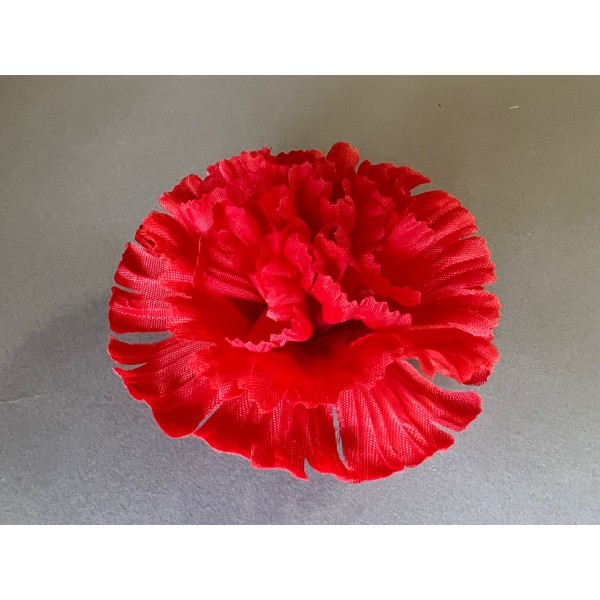 Гвоздика средняя 13