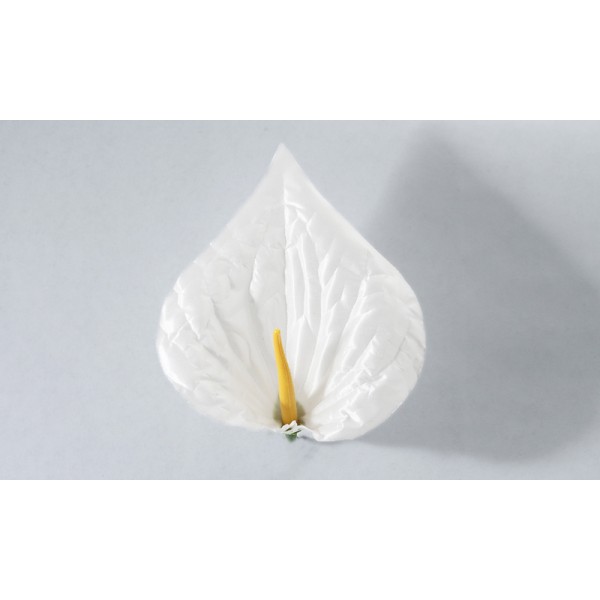 Антуриум большой атласный 20 (С КОМПЛЕКТОМ ТЫЧИНОК)