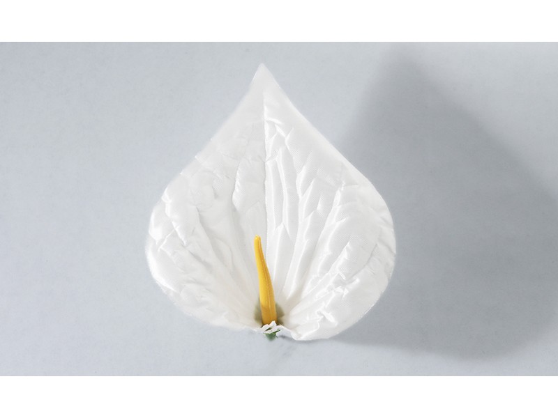 Антуриум большой атласный 20 (С КОМПЛЕКТОМ ТЫЧИНОК)