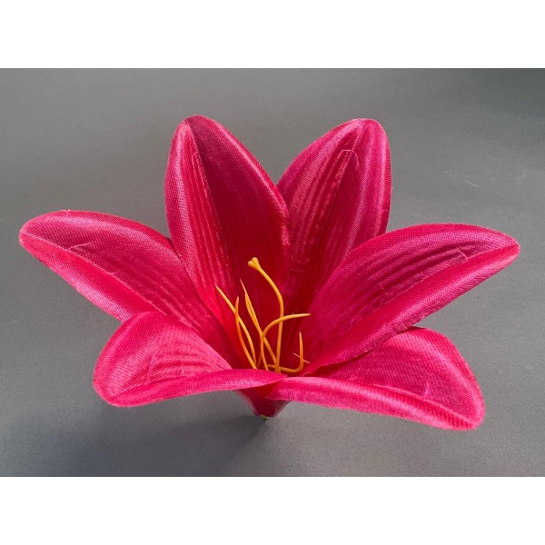 Лилия трубчатая большая 306/2 (С КОМПЛЕКТОМ ТЫЧИНОК)