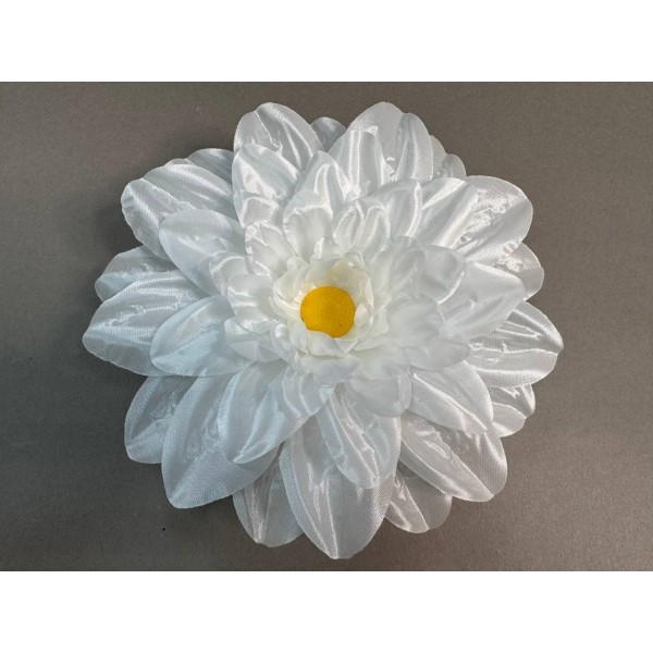 Ромашка огромная  36