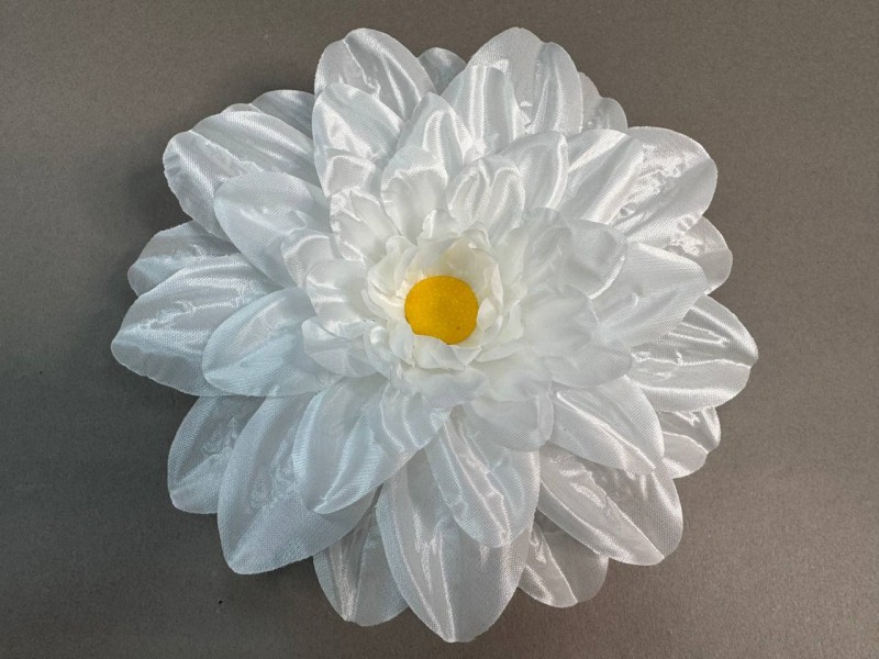 Ромашка огромная  36