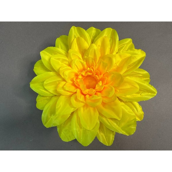 Ромашка огромная  36