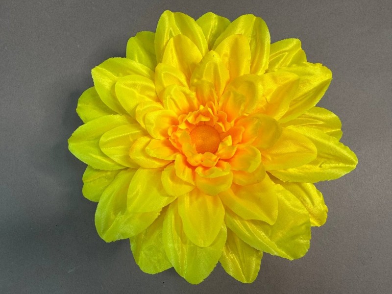 Ромашка огромная  36