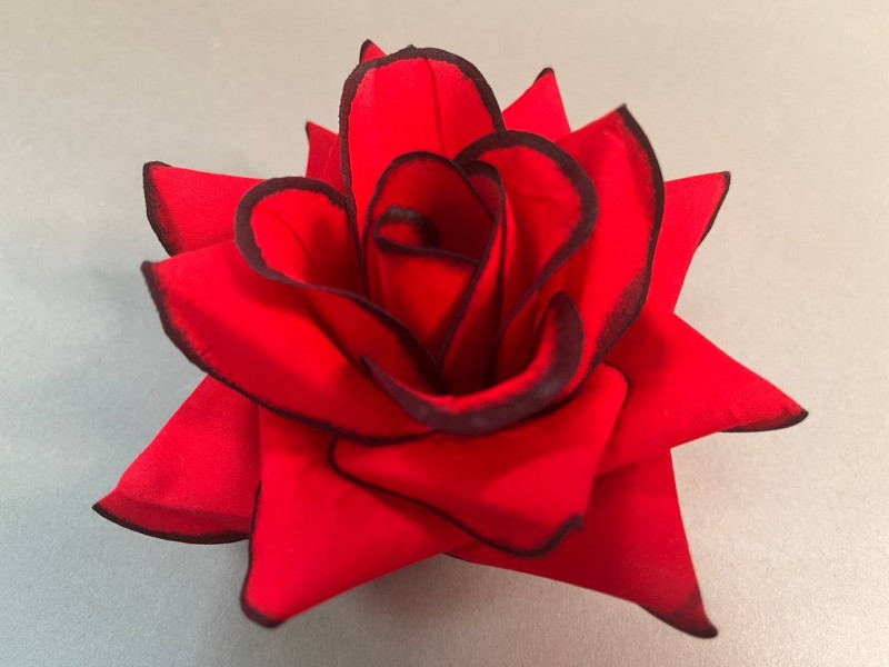 Роза бархат 503