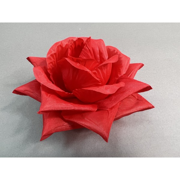 Роза Острая 58/4