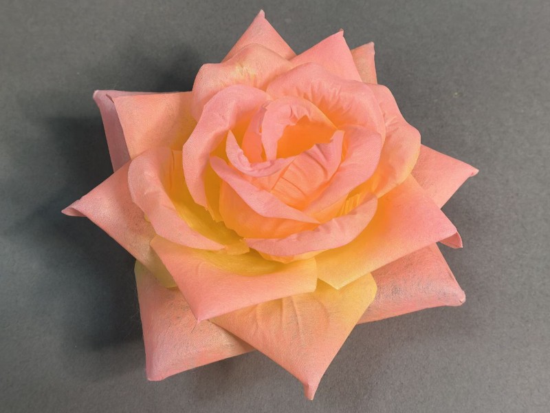 Роза Острая 58/133