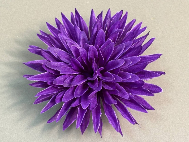 Астра "Вилора" 79