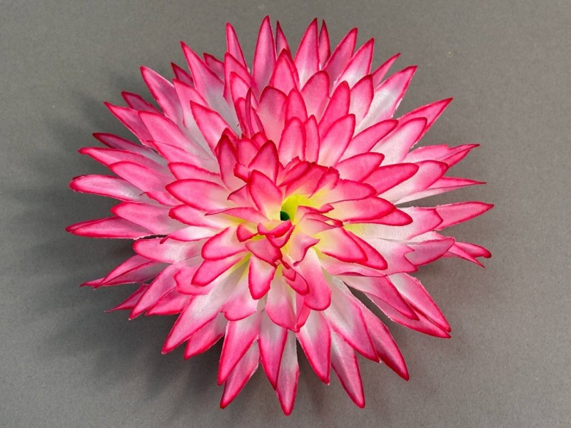 Астра "Вилора" 79