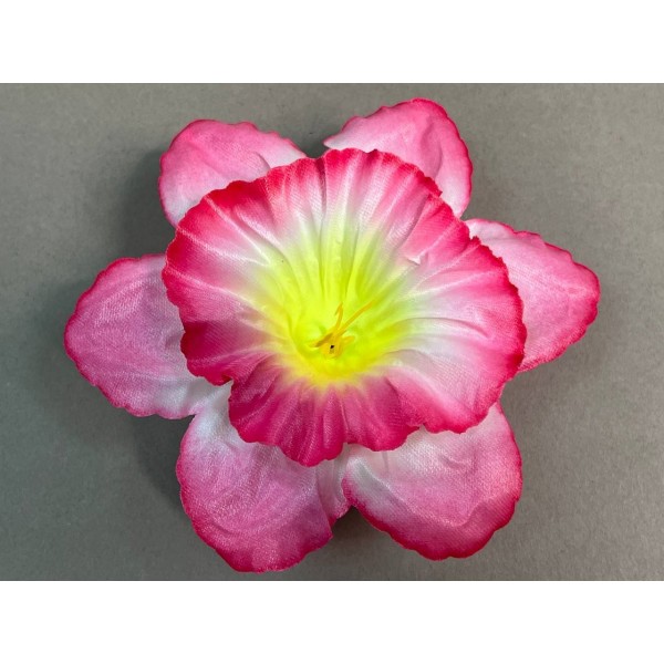 Нарцисс малый атласный 7