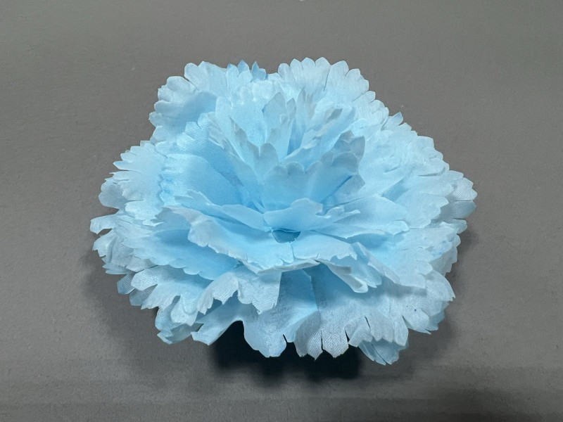 Гвоздика Аврора 87