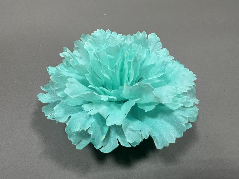 Гвоздика Аврора 87