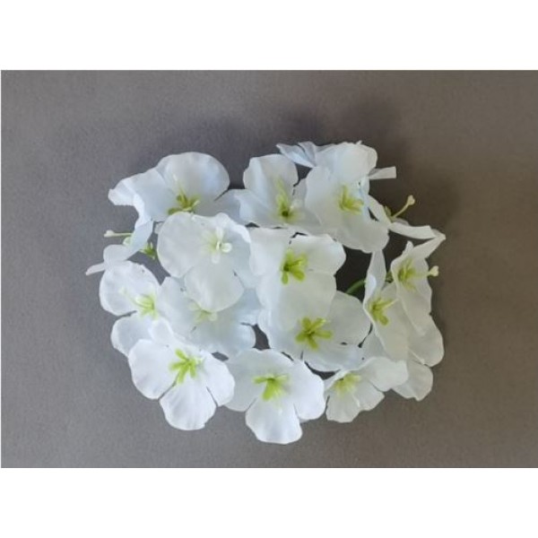 Гортензия 618/1
