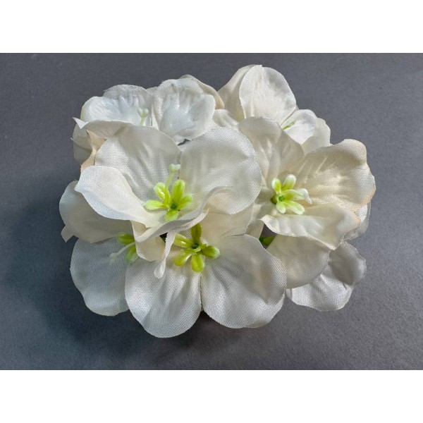 Гортензия 612/1