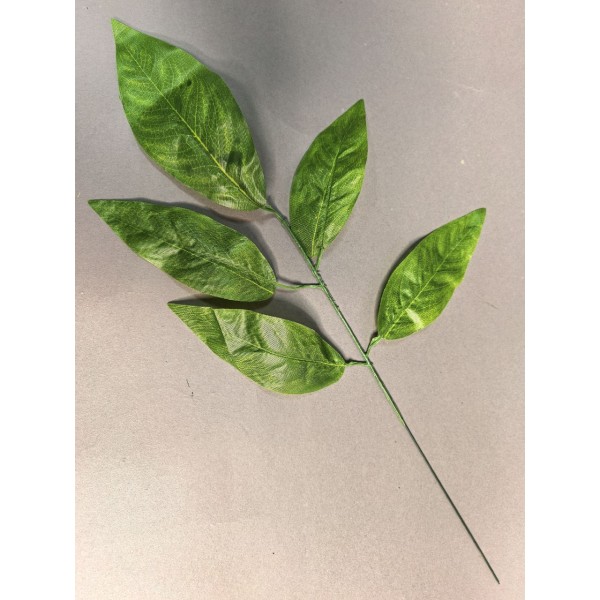 Лист Манго 5-ка светлый Л111