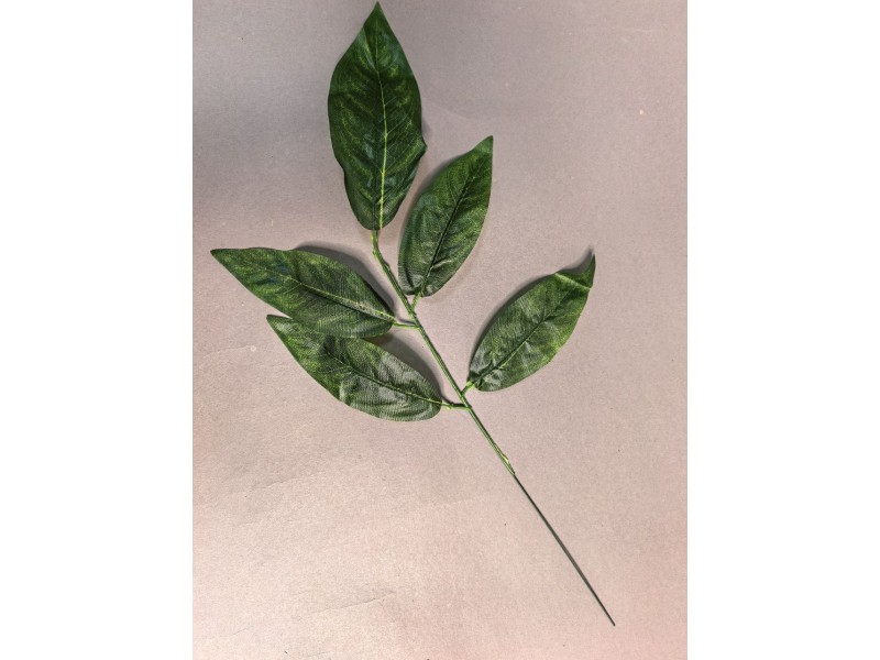 Лист Манго ритуальный малый 2-х цветный Л118