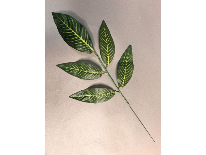 Лист Манго ритуальный 5-ка с прожилками Л120