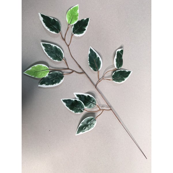 Ветка ритуальная фикуса с белым кантом одиночная ЛВ107