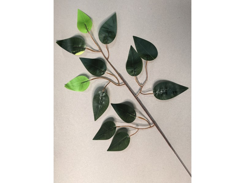Ветка ритуальная фикуса двухцветная одиночная ЛВ108