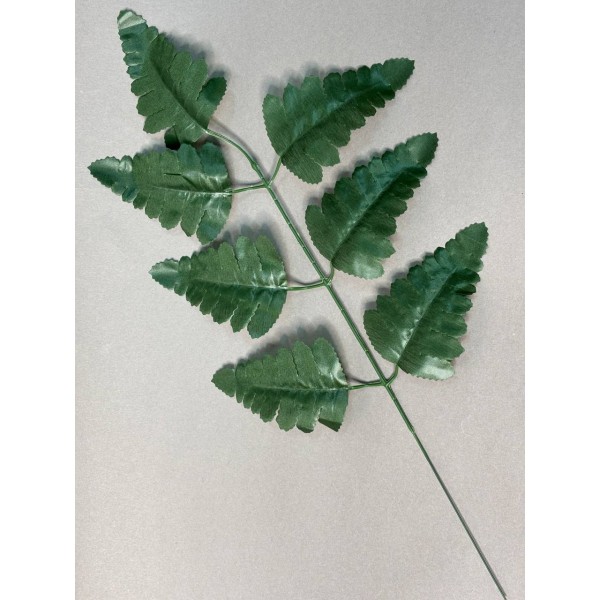 Папоротник тёмно-зелёный (лист ритуальный) Л21/1