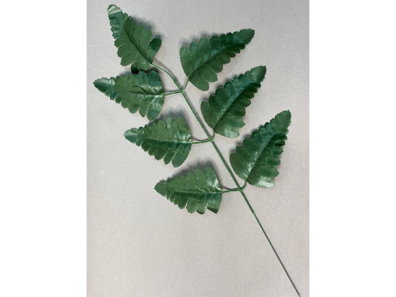 Папоротник тёмно-зелёный (лист ритуальный) Л21/1