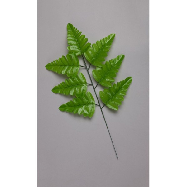 Папоротник 7-ка светлый (лист ритуальный) Л21