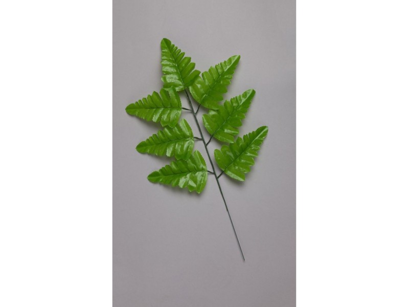 Папоротник 7-ка светлый (лист ритуальный) Л21