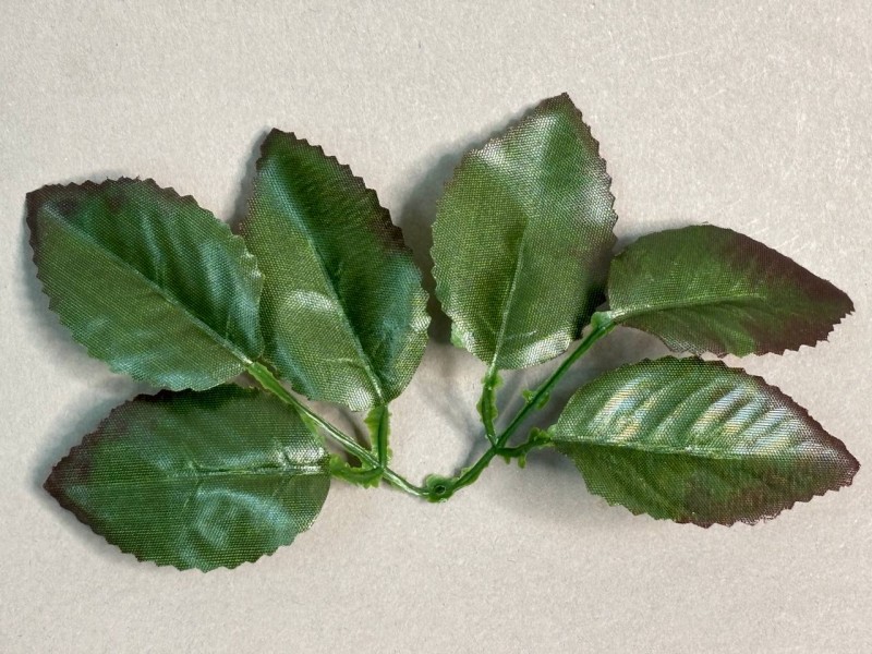 64.123 Лист розы 6-ка с коричневым кантом