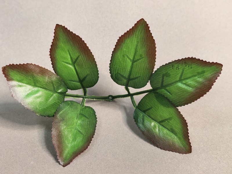 64.124 Лист розы ритуальный 6-ка светлый с коричневым кантом 