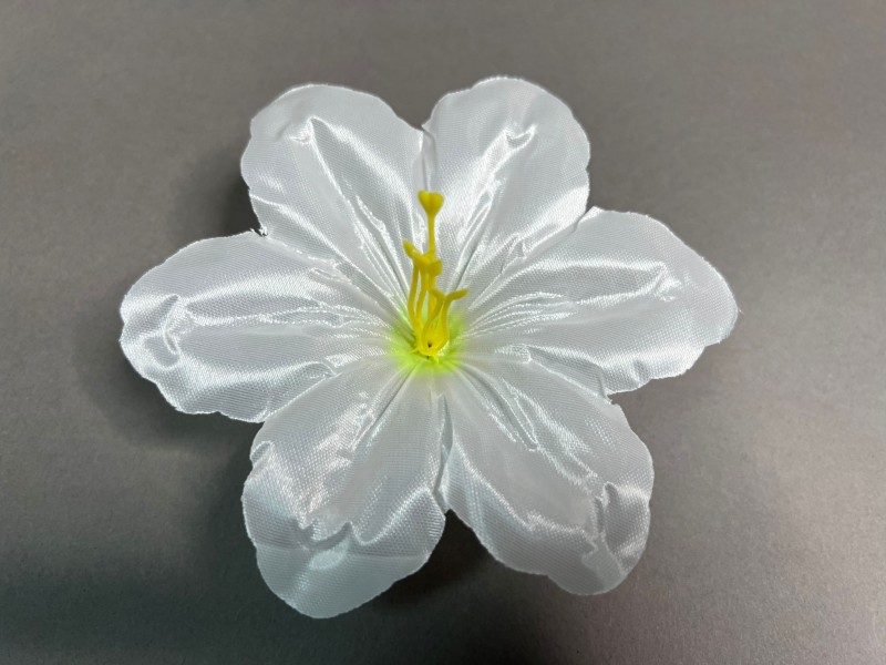 Клематис большой атласный  105/22 Клематис большой атласный  105/22