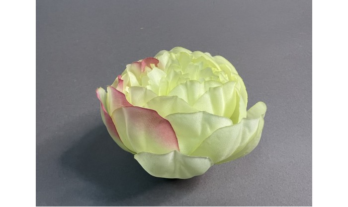 Пион декоративный 131/42