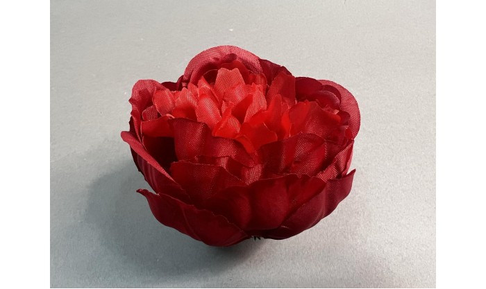 Пион декоративный 131/76