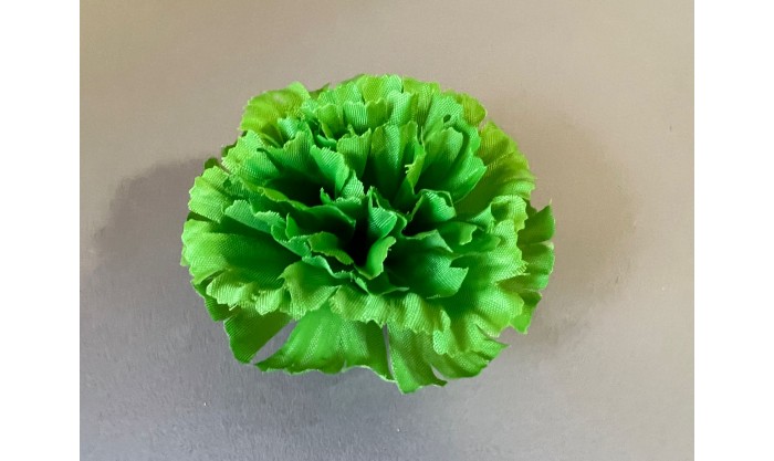 Гвоздика средняя 13/594