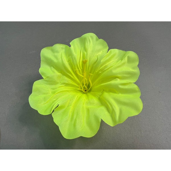 Клематис Тако 147/1