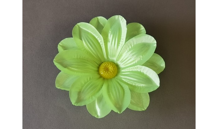 Крокус двойной атласный 14/522