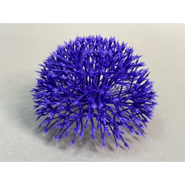 Одуванчик большой 160