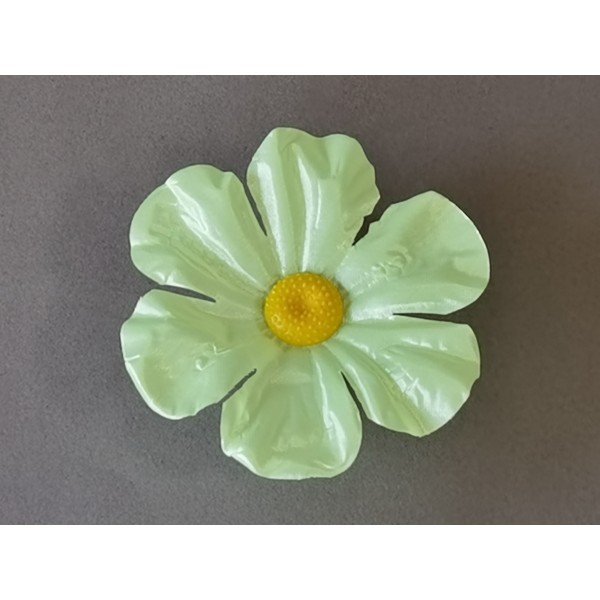 Примула атласная 19/522