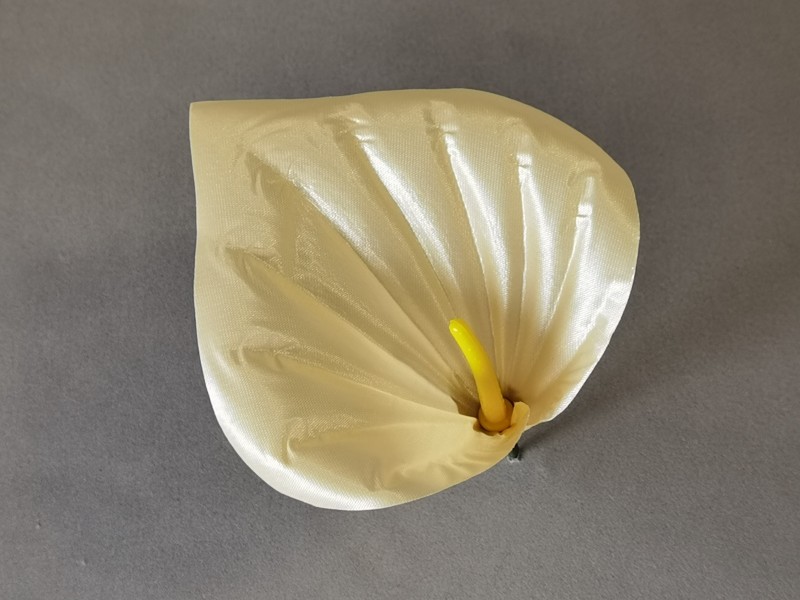 Антуриум новый 20/1/502 Антуриум новый 20/1/502