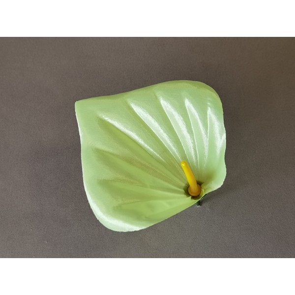 Антуриум новый 20/1/522