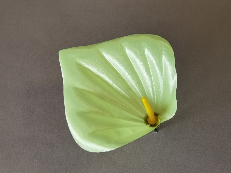 Антуриум новый 20/1/522 Антуриум новый 20/1/522