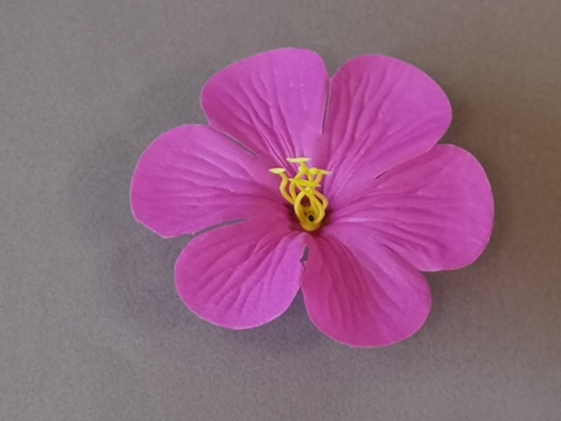 Мальва малая 2/510 Мальва малая 2/510