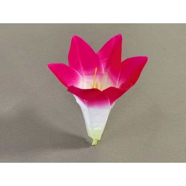 Лилия трубчатая мини 306/57