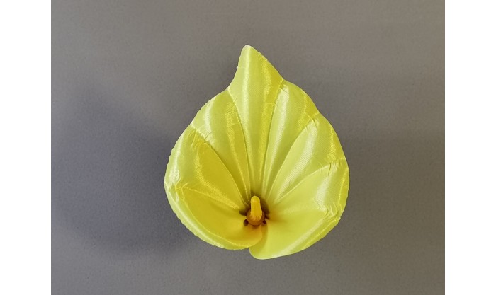 Калла средняя 31/501