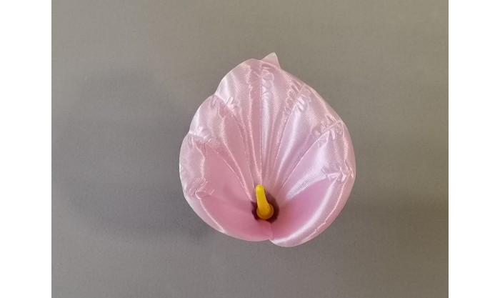 Калла средняя 31/529