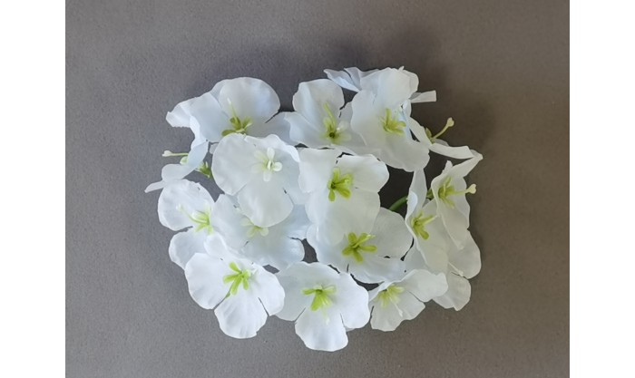 Гортензия 618/1/38